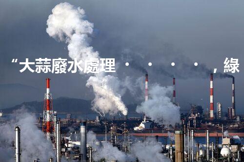 “大蒜廢水處理，綠色環(huán)保新篇章”